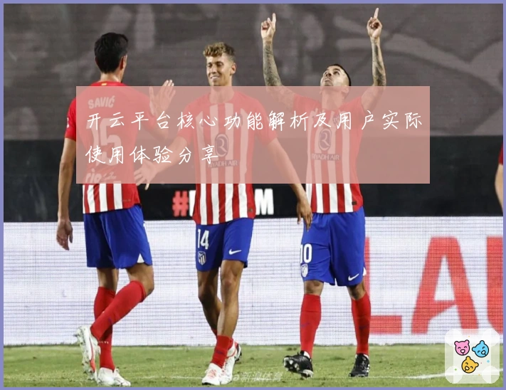 开云平台核心功能解析及用户实际使用体验分享